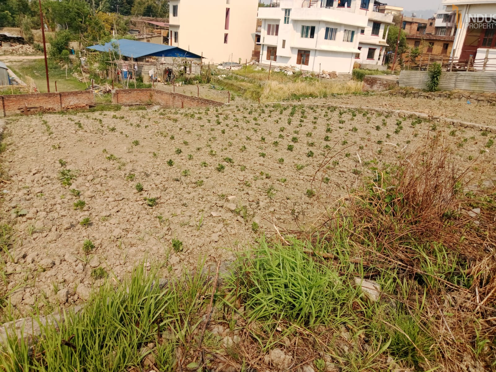Picture of Mahalaxmi Municipality, Bagmati